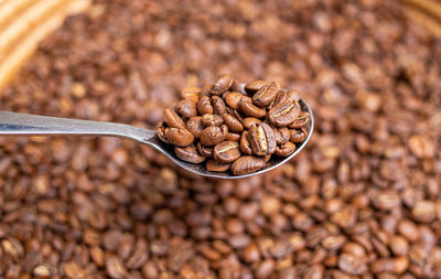 Close-up of roasted coffee beans
