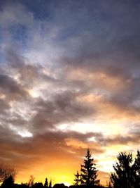 Low angle view of silhouette trees against sky at sunset