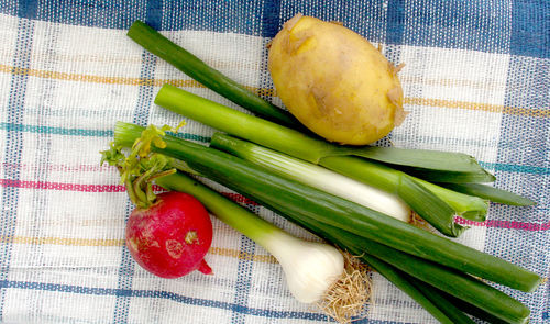 High angle view of vegetables on napkin
