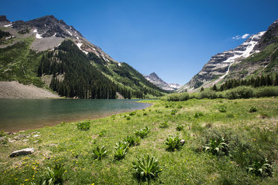 Scenic view of grass with plants and lake by mountains and trees