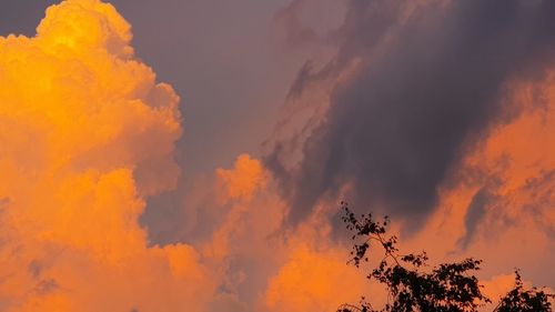 Low angle view of orange sky