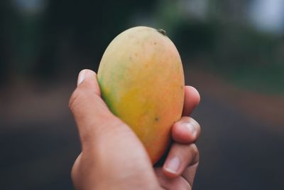 Close-up of human hand holding ripe mango fruit outdoors