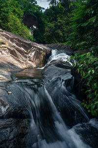 Stream flowing through rocks in forest