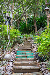 Footpath amidst trees in forest