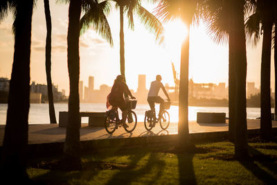 Silhouette people riding bicycle on palm trees at sunset