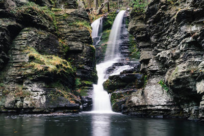 Scenic view of waterfall in forest