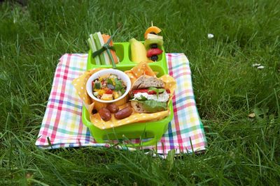 Variety of food on grass in park