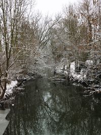 Bare trees by river against sky during winter