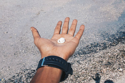 Cropped hand of man holding seashell at beach