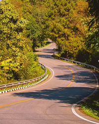 Road zigzagging amidst trees and plants in countryside 