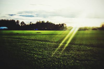 Scenic view of grassy field against sky