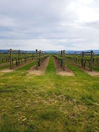 Scenic view of land against sky