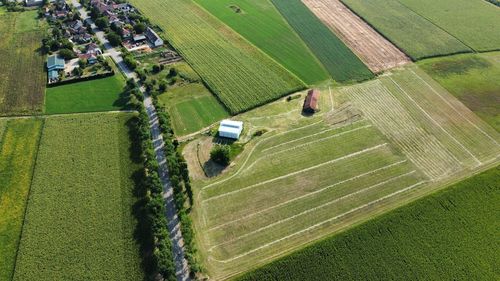 High angle view of agricultural field