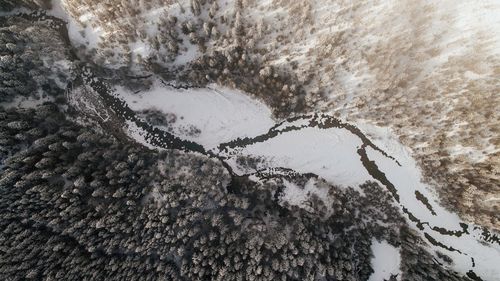 Close-up of frozen tree during winter