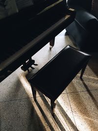 Close-up of bird on floor