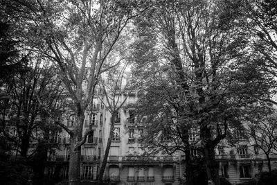 Bare trees in city against sky