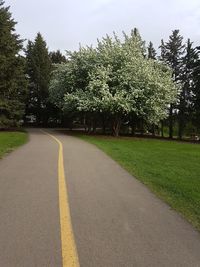 Road amidst trees against sky