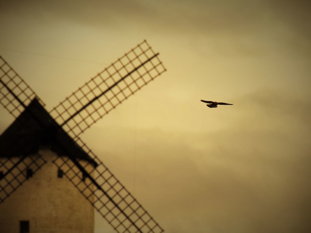 LOW ANGLE VIEW OF AIRPLANE FLYING IN SKY