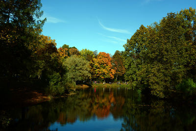 Lake surrounded by trees during autumn