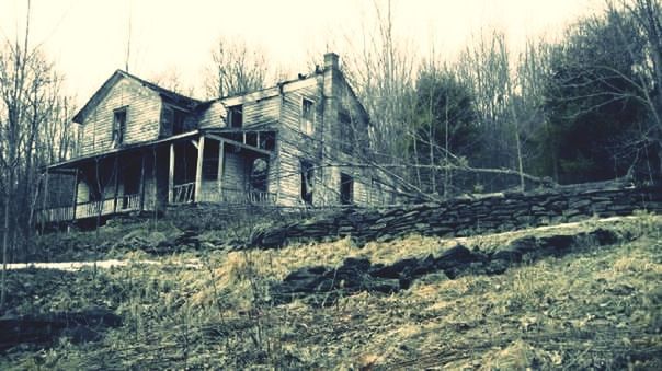 white house photo of the week