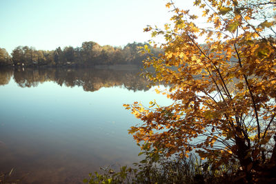 Scenic view of lake in forest during autumn