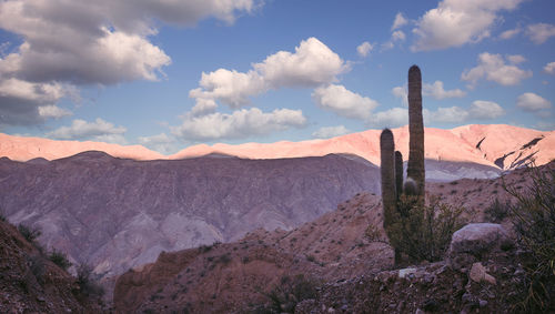 Panoramic view of desert against sky