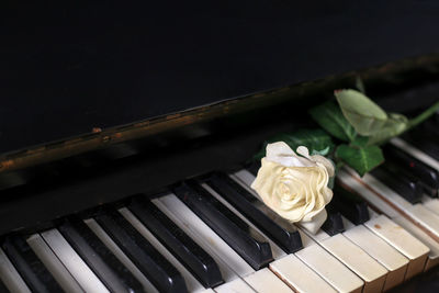 High angle view of white roses in piano