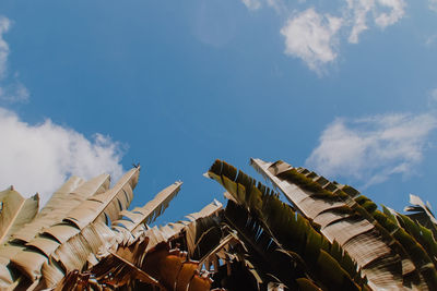 Low angle view of crowd against blue sky