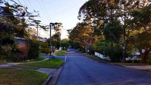 Road amidst trees against sky