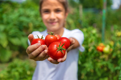 Close-up of tomatoes