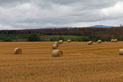 Hay bales on field against sky