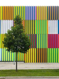 Multi colored fence against yellow wall