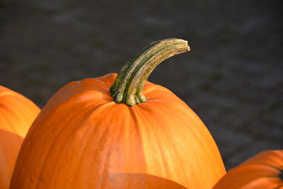 Close-up of cropped hand holding food