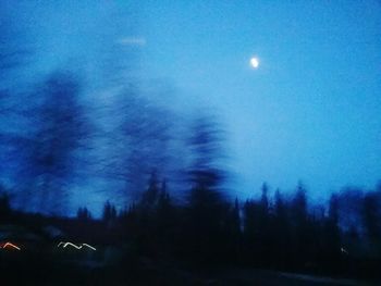 Silhouette trees against sky at night