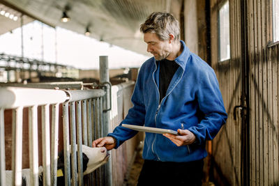 Farmer standing with tablet pc and stroking calf at cattle farm