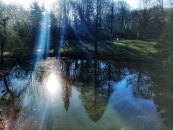 Reflection of trees on lake in forest
