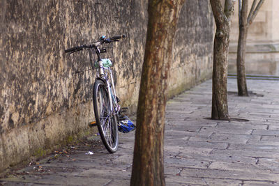 Bicycle parked on wall by tree trunks