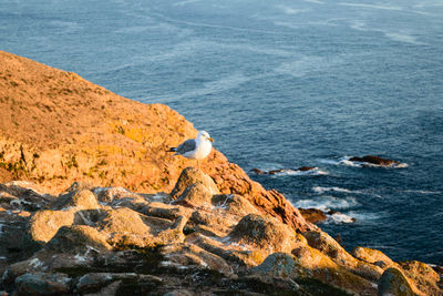 Scenic view of sea and rocks