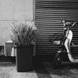 Bicycle parked against wall in city