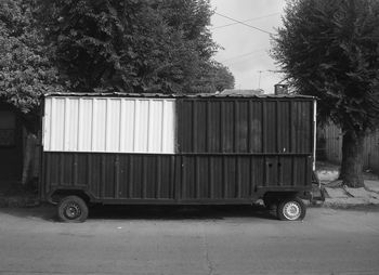 Vintage car on road against trees