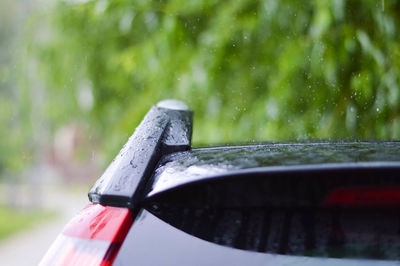 Cropped image of car during rainy season