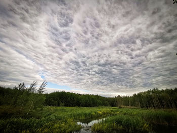 Scenic view of land against sky