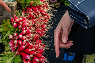 Midsection of person holding red berries at market