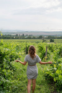 Back view of a woman in summer dress walking through the vineyard