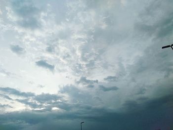 Low angle view of bird flying in sky