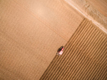 Directly above shot of tractor on field