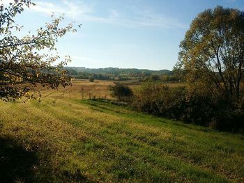 Scenic view of field against sky