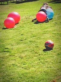 Colorful balloons ball in lawn