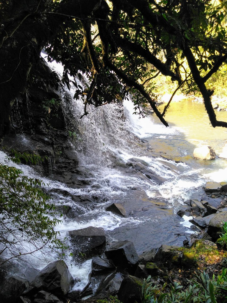 WATER FLOWING THROUGH ROCKS IN FOREST