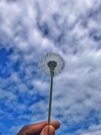 Close-up of hand holding dandelion against sky